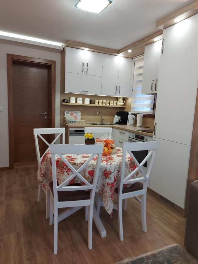 Apartmani Nik Lux Vrnjačka Banja 외부 사진